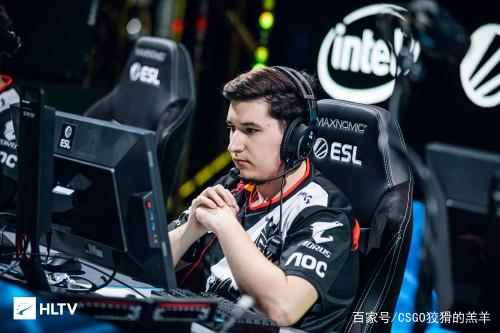 本土宠儿在 本土宠儿在