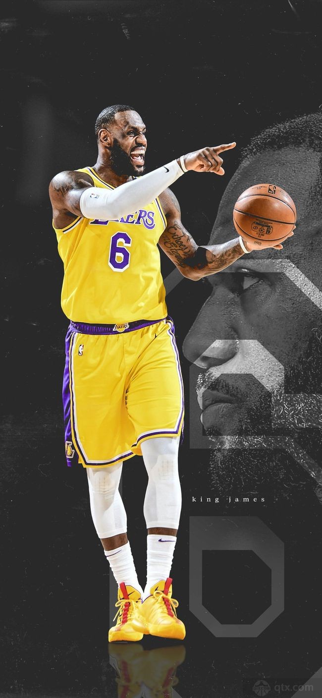 的预测模型 的预测模型